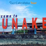 The Best 2 Days 1 Night Bunaken Tour Package Accompanied by an Experienced Guide